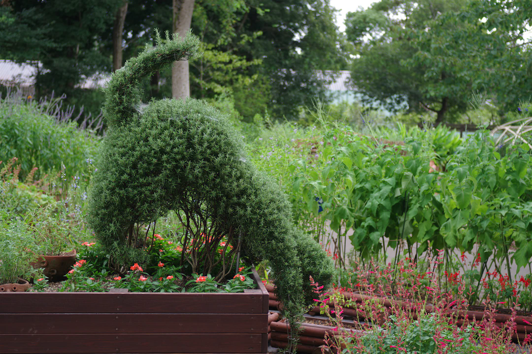 A green topiary shrub trimmed in the shape of a dog with its tail raised, situated in a garden bed surrounded by flowering plants and lush greenery.