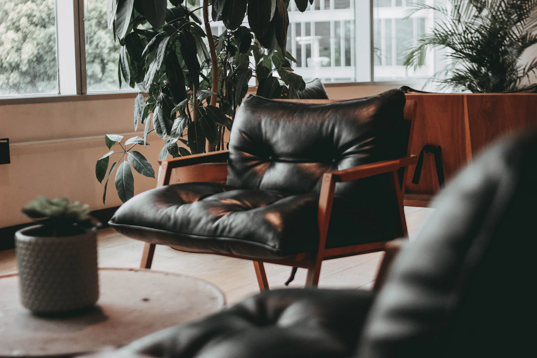 A cozy indoor space with a modern black leather armchair with wooden arms and legs. There is a round table in the foreground with a small potted succulent plant on it. Large leafy green houseplants are positioned near the windows, allowing natural light to filter into the room.