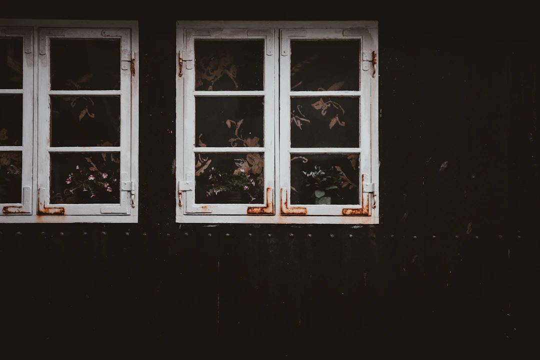 Two old, white-framed windows with visible rust and peeling paint on a dark wall. There are some potted plants with flowers inside the windows and floral-patterned curtains in the background.