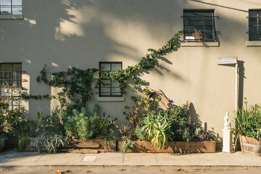 A small urban garden with various green plants and succulents growing in a wooden planter along the base of a beige stucco building. There are vines climbing up the wall towards two black-barred windows. A sign reading 'Sorry, No Swimming!' is attached to a pole on the right side of the image. The sidewalk runs along the garden, and there is a white statue and an additional planter with tall grasses on the far right.