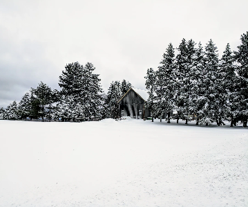 A winter landscape featuring a wooden barn surrounded by snow-covered evergreen trees. The ground and trees are blanketed in fresh white snow under an overcast sky.