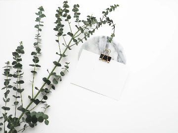 Minimalist flat lay with eucalyptus branches on a white surface, next to a blank white card clipped with a black binder clip to a round marble coaster.