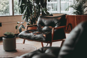 A cozy indoor space with a modern black leather armchair with wooden arms and legs. There is a round table in the foreground with a small potted succulent plant on it. Large leafy green houseplants are positioned near the windows, allowing natural light to filter into the room.