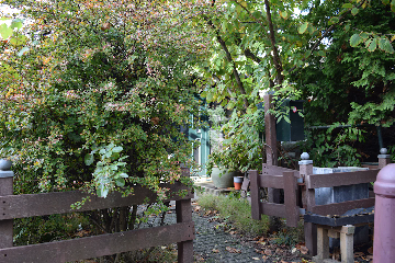A lush backyard garden with dense green foliage, wooden fences, and a stone path leading to a patio area. There are potted plants, a green mailbox, and garden furniture visible among the trees and shrubs.