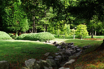 A lush, green park or garden with various trees and shrubs. A dry rocky stream bed runs through the grass, bordered by stones. There is a mix of sunlight and shade, creating a calm and peaceful natural scene.