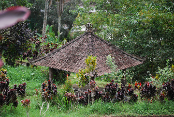 A traditional open-sided gazebo structure with a tiled, sloped roof, situated in a lush, green garden surrounded by various tropical plants and trees.